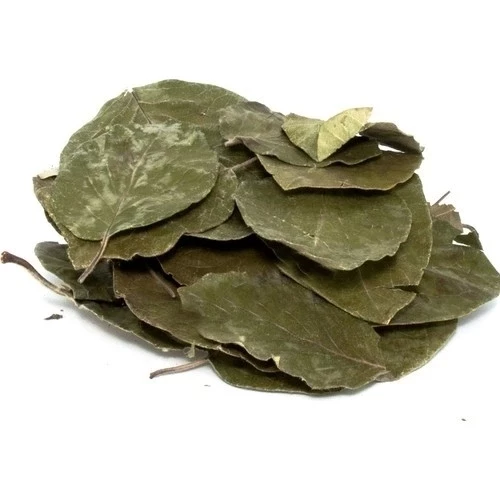 Avakado 25 Gr, Lokman Aktar