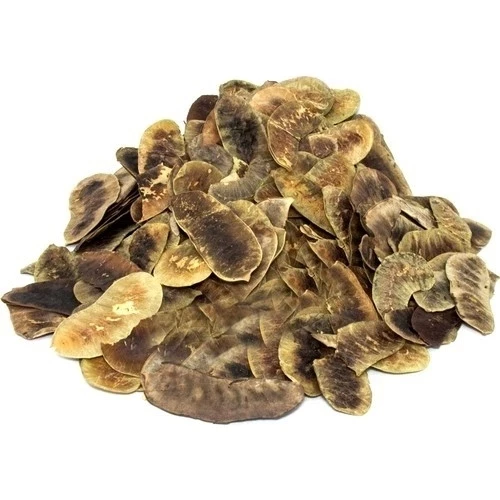 Açlık Otu 40 Gr (Paket-Bitki) 1Adet, Lokman Aktar