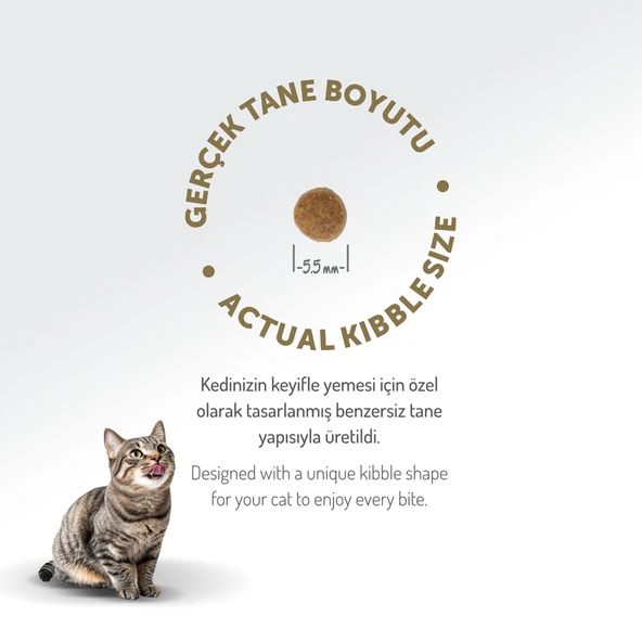 Felicia Az Tahıllı 12 Kg Yavru Kuzu Etli HypoAllergenic Kedi Maması - Resim 11