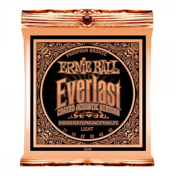 Ernie Ball P02548 Everlast Akustik Gitar Teli (Light) ürün görseli 1