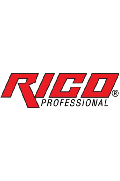 Rico 005-KK1154 Kaplamalı Mıknatıslı Torx Bits Uç T50 30 mm - 2