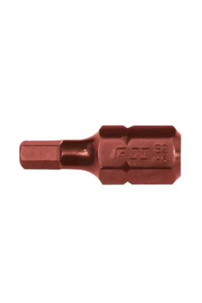Rico 005-KK1179 H7.10x30 Bits Uç - 1