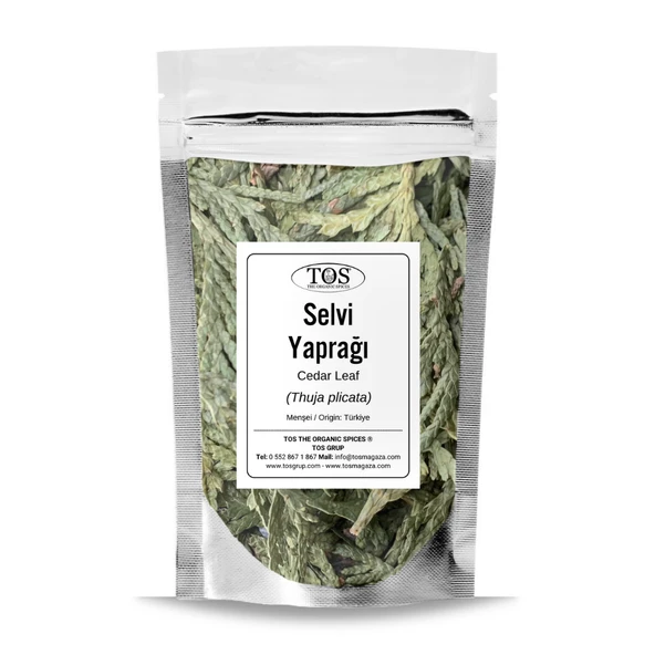 Selvi Yaprağı 250 gr (1. Kalite) Thuja plicata