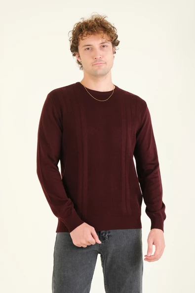 Erkek Desenli Sıfır Yaka Kazak Mürdüm - 3