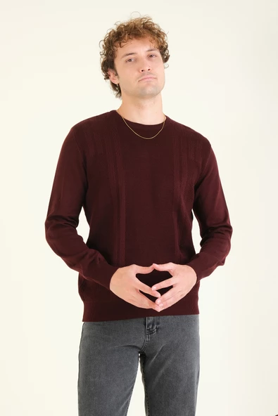 Erkek Desenli Sıfır Yaka Kazak Mürdüm - 2