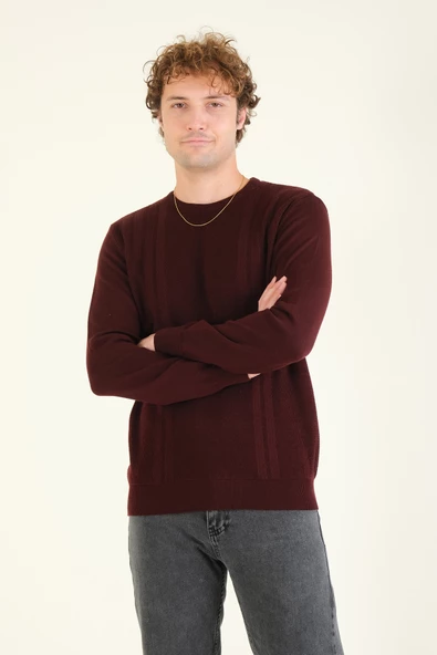 Erkek Desenli Sıfır Yaka Kazak Mürdüm - 4