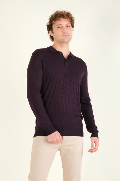 Erkek Baklava Desenli Polo Yaka Merserize Kazak Mor