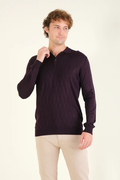 Erkek Baklava Desenli Polo Yaka Merserize Kazak Mor - 4