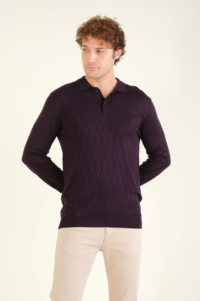 Erkek Baklava Desenli Polo Yaka Merserize Kazak Mor - 3