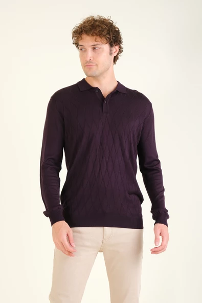 Erkek Baklava Desenli Polo Yaka Merserize Kazak Mor - 5