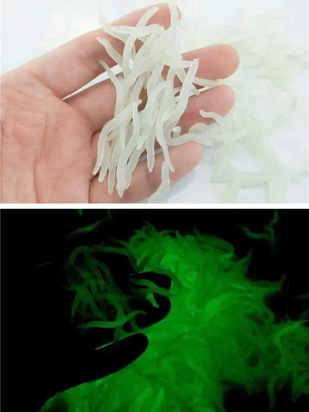 Eagenset Fosforlu Glow Gerçekçi Yapay Silikon Solucan Beyaz 25 Adet 3,5 cm - 2