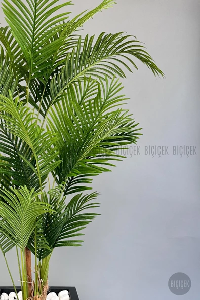 BİÇİÇEK Yapay Areka Palmiyesi 220 cm lux dış mekan saksıda - 11