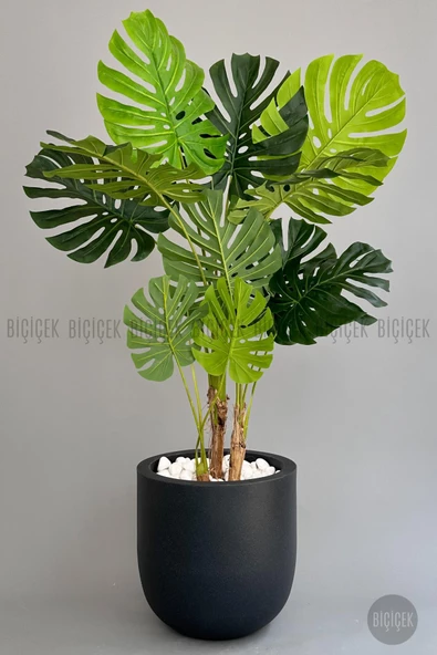 BİÇİÇEK   Yapay Monstera Ağacı 170 cm lux dış mekan saksıda - Resim 8