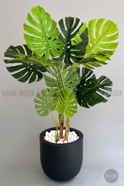 BİÇİÇEK   Yapay Monstera Ağacı 170 cm lux dış mekan saksıda - Resim 4