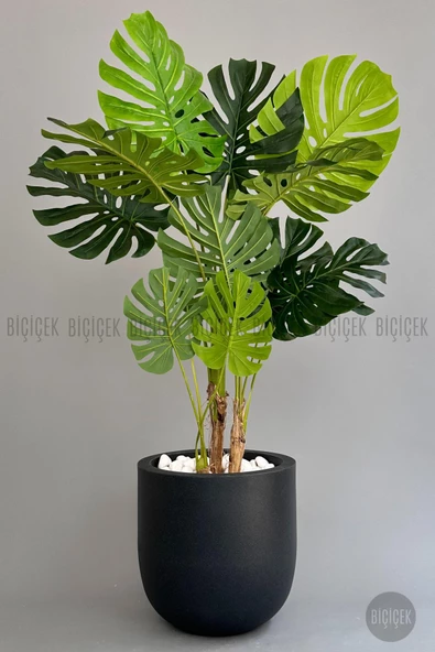 BİÇİÇEK   Yapay Monstera Ağacı 170 cm lux dış mekan saksıda - Resim 7