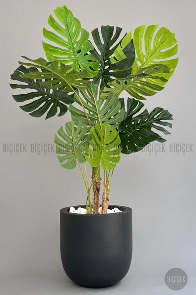 BİÇİÇEK   Yapay Monstera Ağacı 170 cm lux dış mekan saksıda ürün görseli