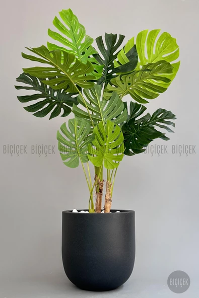 BİÇİÇEK   Yapay Monstera Ağacı 170 cm lux dış mekan saksıda - Resim 5