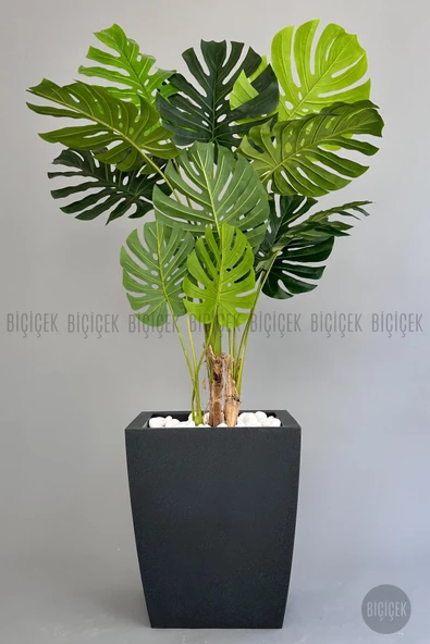 BİÇİÇEK   Yapay Monstera Ağacı 170 cm lux dış mekan saksıda - Resim 12