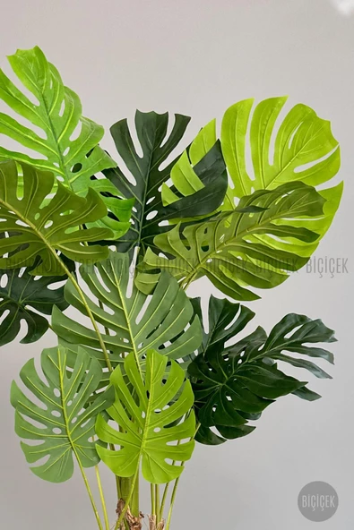 BİÇİÇEK   Yapay Monstera Ağacı 170 cm lux dış mekan saksıda - Resim 3