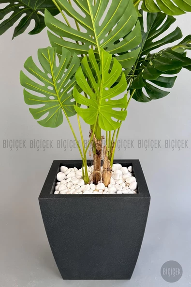 BİÇİÇEK Yapay Monstera Ağacı 170 cm lux dış mekan saksıda - 8