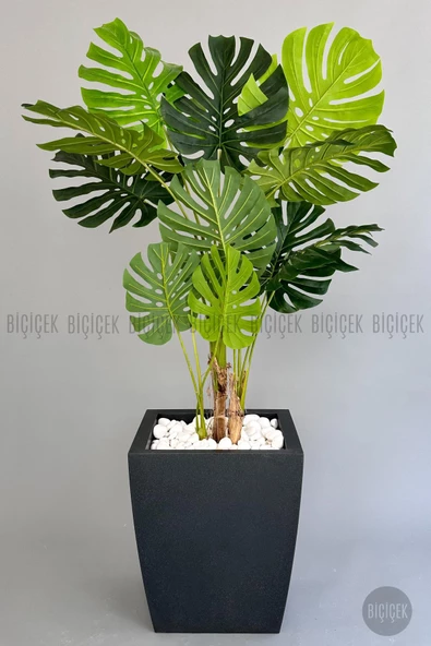 BİÇİÇEK   Yapay Monstera Ağacı 170 cm lux dış mekan saksıda - 6
