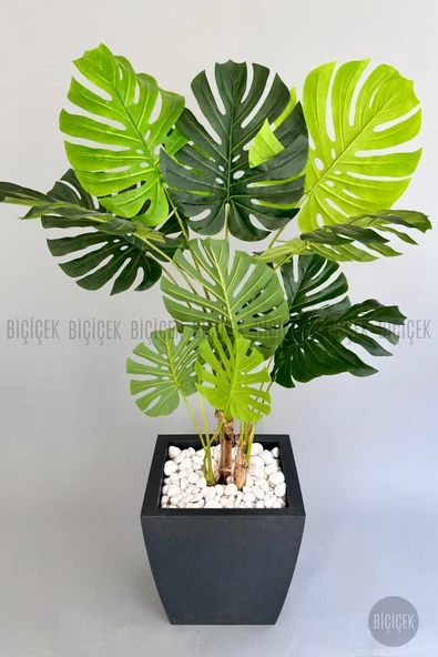 BİÇİÇEK Yapay Monstera Ağacı 170 cm lux dış mekan saksıda - 3
