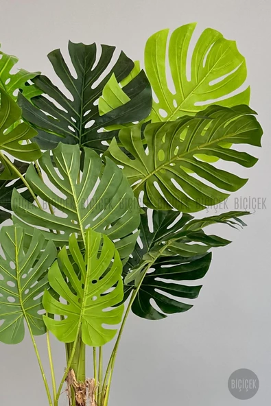 BİÇİÇEK Yapay Monstera Ağacı 170 cm lux dış mekan saksıda - 7
