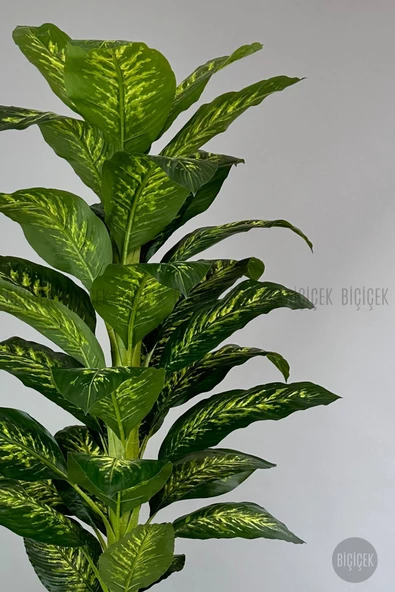 BİÇİÇEK Yapay Difenbahya Ağacı 210 cm Lux Dış Mekan Saksıda - 12