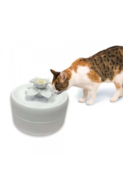 Pioneer Pet Manolya Kediler Için Otomatik Su Kabı 1600 Ml - 6