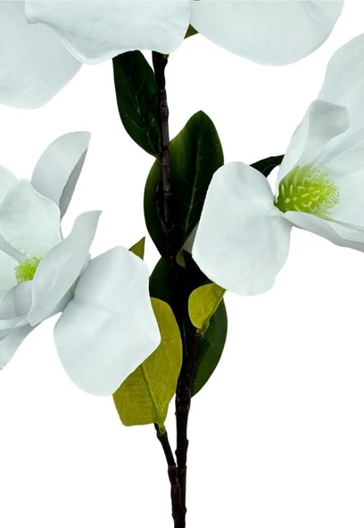 Yapay Çiçek Süt Beyaz Manolya Islak Doku 3 Kafalı Uzun Dal Çiçek Flowers 95cm - 4