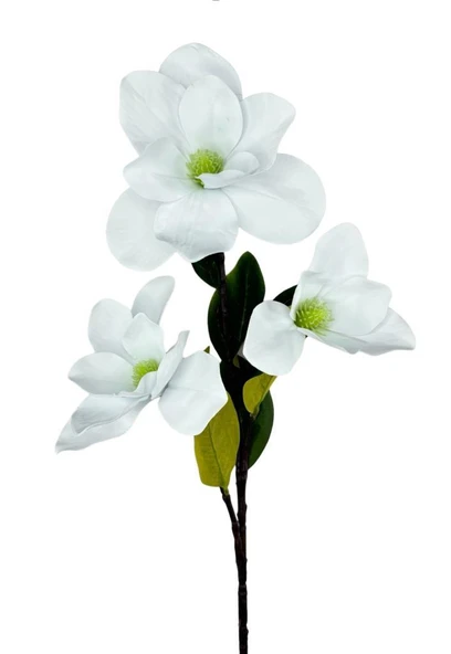 Yapay Çiçek Süt Beyaz Manolya Islak Doku 3 Kafalı Uzun Dal Çiçek Flowers 95cm - 3