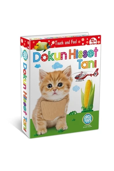 Circle Toys Dokun Hisset Tanı Eğitici Görsel Algılama Duyusal Yetenek Kartları