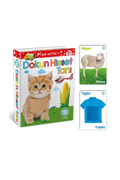 Circle Toys Dokun Hisset Tanı Eğitim Kartları, Zeka Kartları