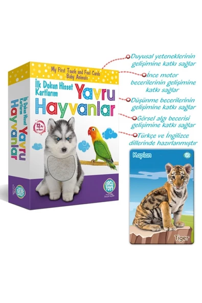 Circle Toys Goks   Dokun Hisset Kartlarım Yavru Hayvanlar A+ Kalite Bebek Gelişim Yapboz