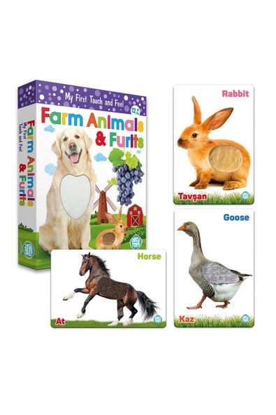 Circle Toys Dokun Hisset Çiftlik Hayvanları Ve Meyveler