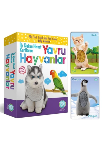 Circle Toys 0-3 Yaş Zeka Kartları Dokun Hisset Tanı Eğitim Kartları, Yavru Hayvanlar