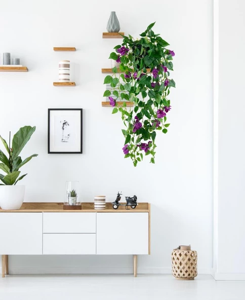 Nettenevime Yapay Çiçek Saksıda Mor Begonvil Çiçeği 9 Dallı 100cm Sarkan Çiçek - Resim 7