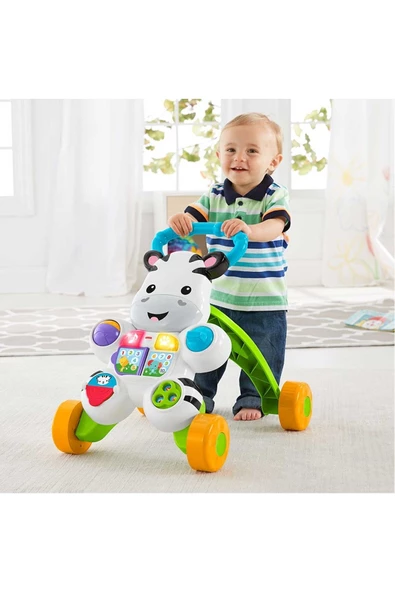 Melodili Zebra Yürüteç Dld80 - 3