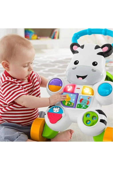 Melodili Zebra Yürüteç Dld80 - 2