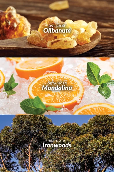 AVON   Maxime Erkek Parfüm Edt 75 Ml. - 3