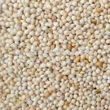 Ak Darı Muhabbet kuşu yemi 5 KG - 2