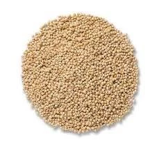 Ak Darı Muhabbet kuşu yemi 5 KG - 3