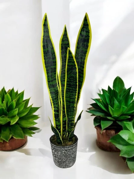 Yapay Çiçek Saksılı Yeşil Kılıç Çiçeği 68cm Salon Çiçeği Gri Seramik Saksılı Yapay Bitki - 2