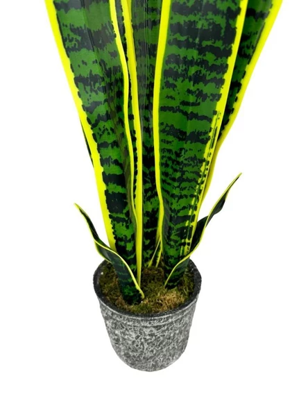 Yapay Çiçek Saksılı Yeşil Kılıç Çiçeği 68cm Salon Çiçeği Gri Seramik Saksılı Yapay Bitki - 4