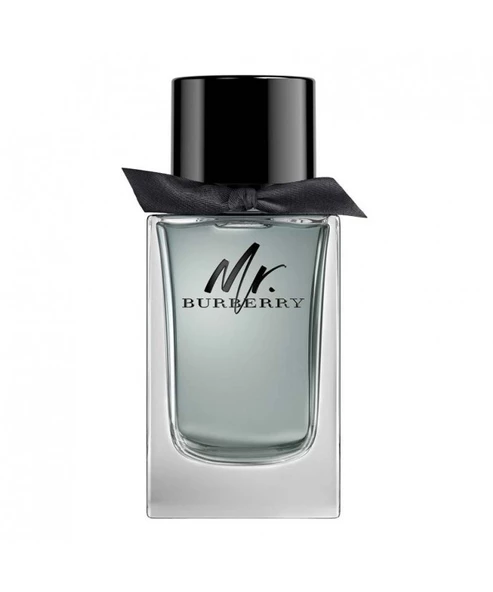 Burberry Mr. Burberry EDT 100 ml Erkek Parfüm ürün görseli