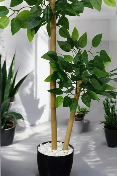 Yapay Benjamin Ağacı 2 Dal 110 Cm - 3