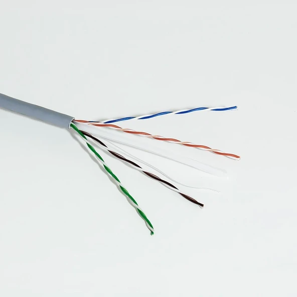 FRISBY FR-CAT601 305MT 0.58MM 23AWG CAT6 UTP KABLO GRİ - 3