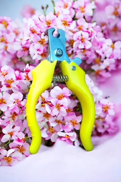 Girist Kedi ve Köpekler İçin Yaylı Tırnak Makası