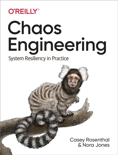 Chaos Engineering: System Resiliency in Practice Rosenthal Jones ürün görseli