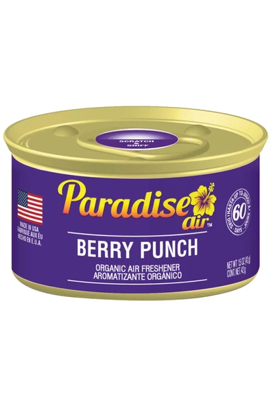 Paradise Air Berry Punch Oda ve Araba Kokusu 42GR